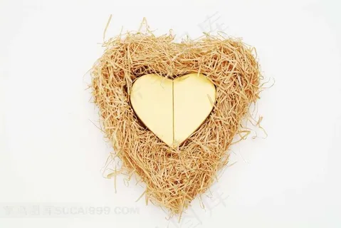 心形鸟窝上的金色心形