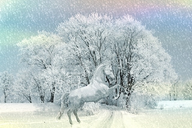 冬天白雪背景风景