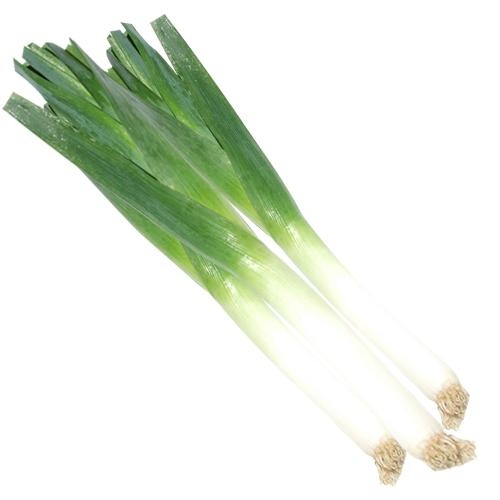 韭菜免抠(500x500)