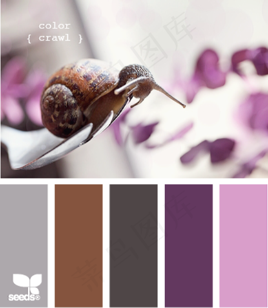 动物配色色卡色彩搭配