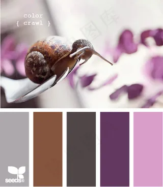 动物配色色卡色彩搭配