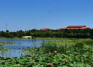 古建筑风景图