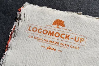 LOGO展示效果样机