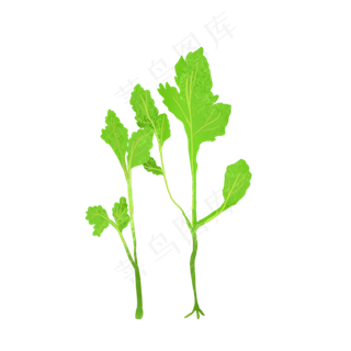 端午节免抠元素艾草卡通插画