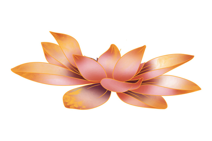 国潮中国风手绘荷花莲花荷叶莲藕植物花卉装饰插画PSD设计素材