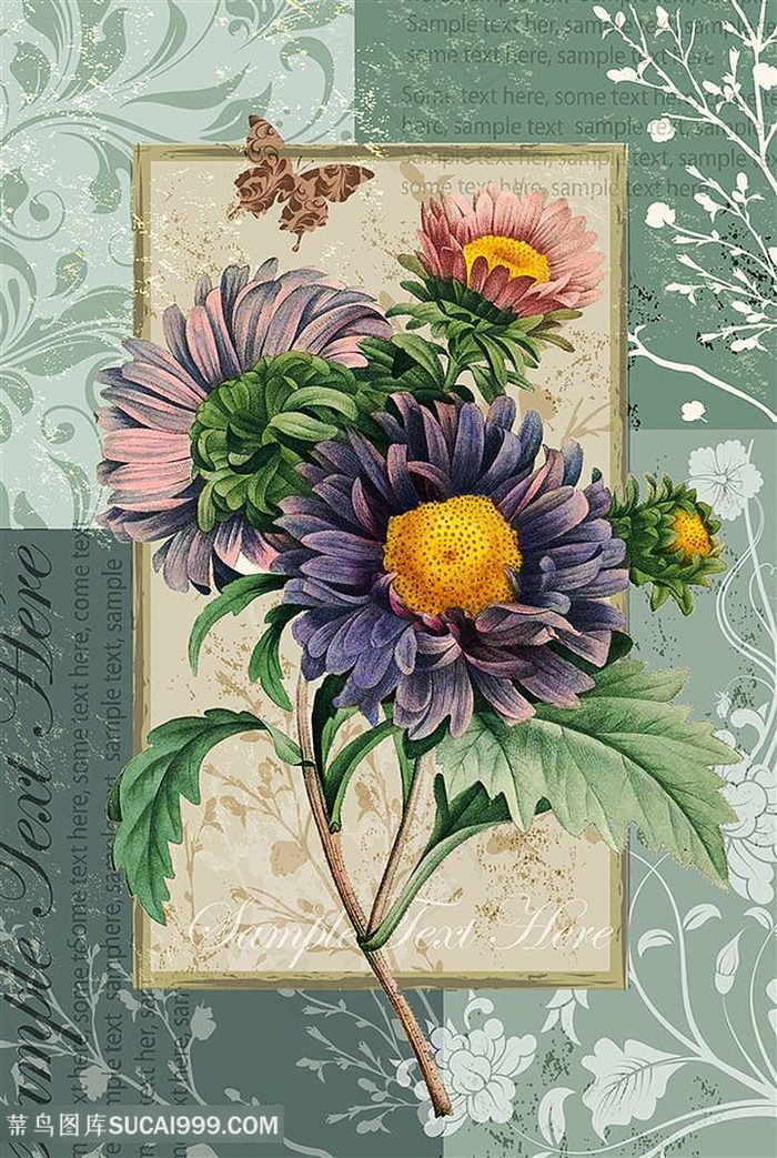 欧式花与蝴蝶装饰画