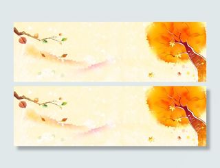 立秋秋天叶子背景