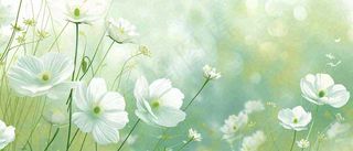 清新白色小花野花野草春天萌芽手绘，春分