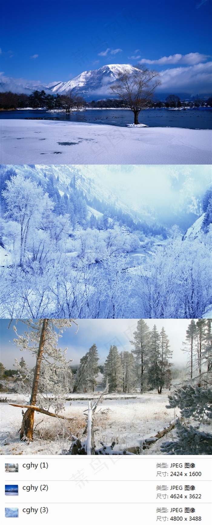 冬季美丽的雪景摄影素材