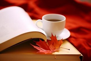 书本树叶秋叶红色简约背景