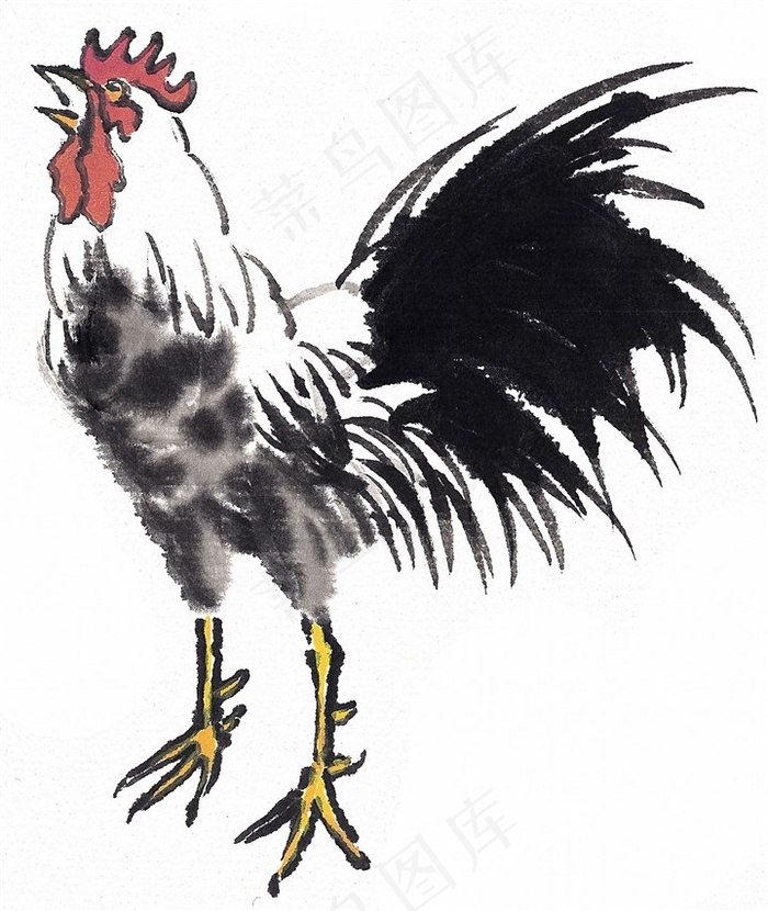 野生动物欣赏图片素材