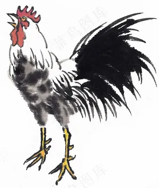 野生动物欣赏图片素材