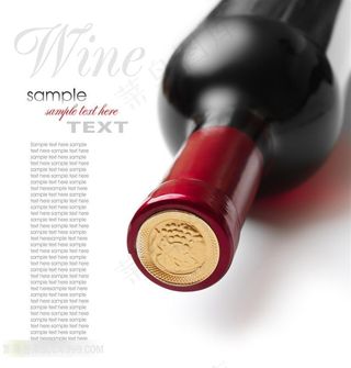 法国原装进口红酒