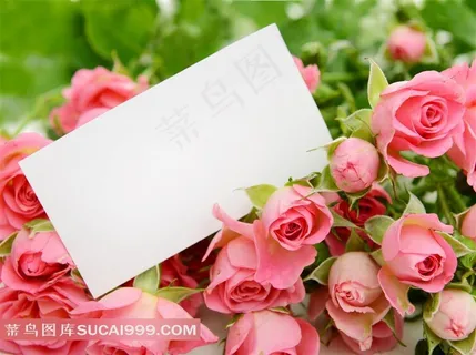 精美粉色玫瑰花背景