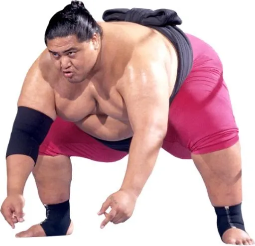 相扑 PNG免抠(600x579)