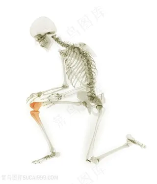 关节疼痛的人体模型高清图片