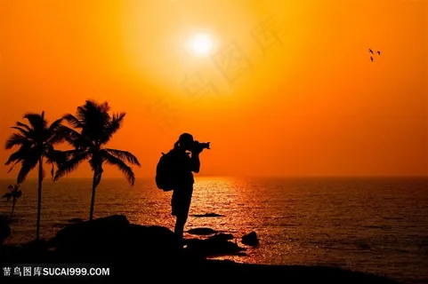 海边的摄影师高清图片
