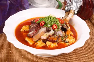 0911CC-337老豆腐嫩肘子