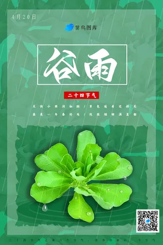 谷雨节气海报