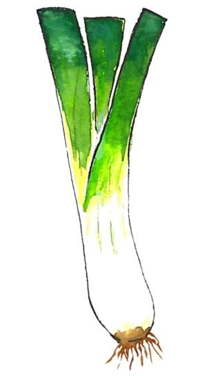 韭菜免抠(300x544)