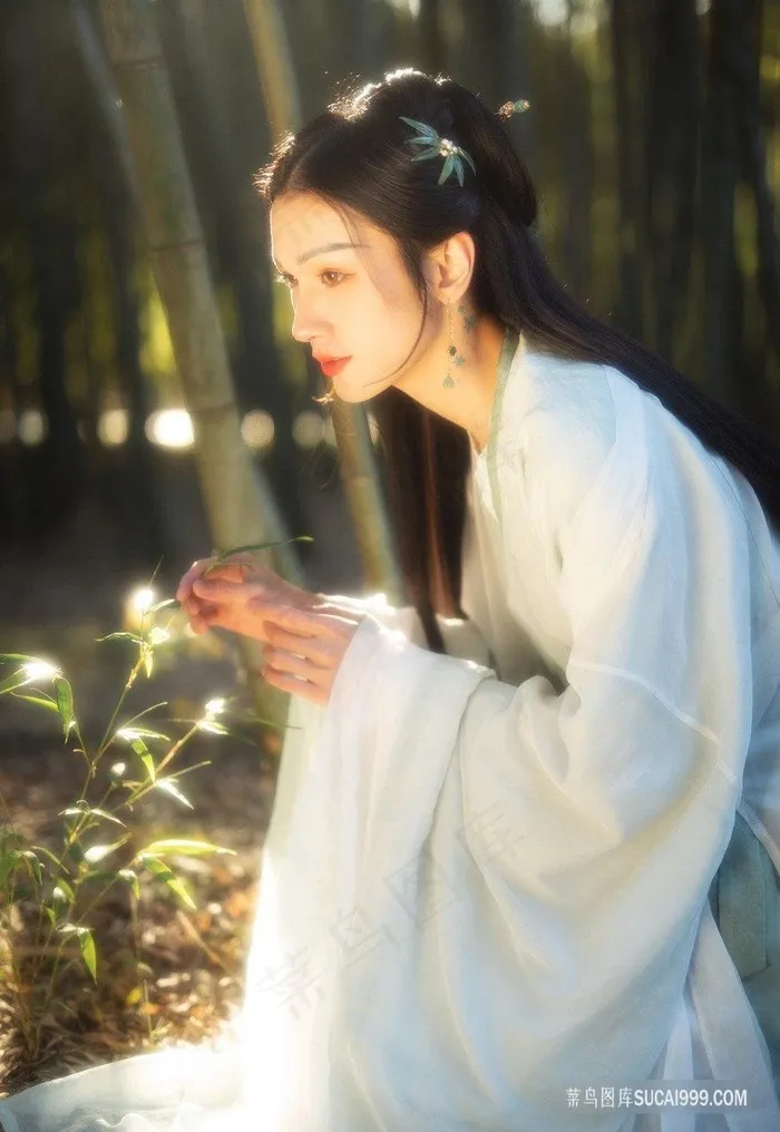 唯美夕阳古装白衣清纯闺秀图片