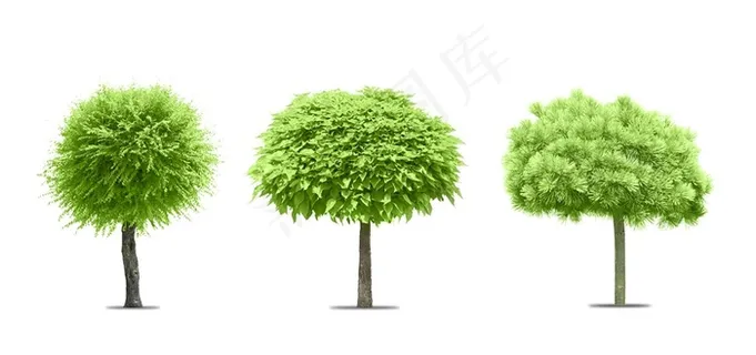 三款不同形状的小树高清图片 三款不同形状的小树高清图片