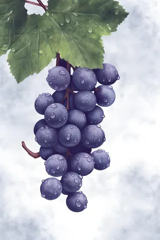 葡萄水彩国风背景