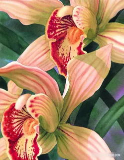 唯美复古兰花高清时尚插画 唯美复古兰花高清时尚插画