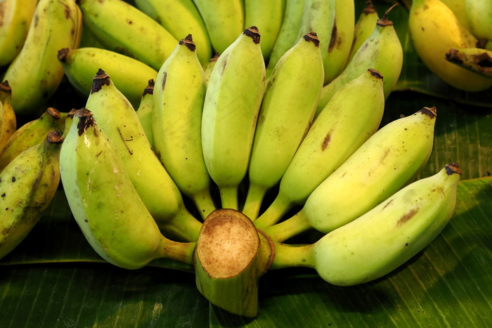 绿色小米蕉图片