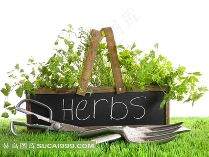 草地上的剪刀与叉子 草地上的剪刀与叉子