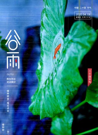 谷雨海报二十四节气谷雨广告