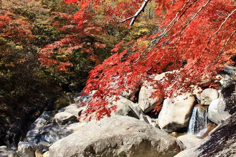 秋天红枫山涧图片 秋天红枫山涧图片