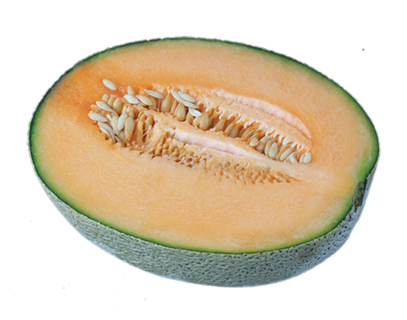哈密瓜免抠素材 (32)