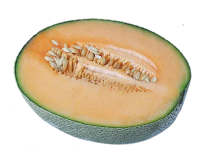 哈密瓜免抠素材 (32)