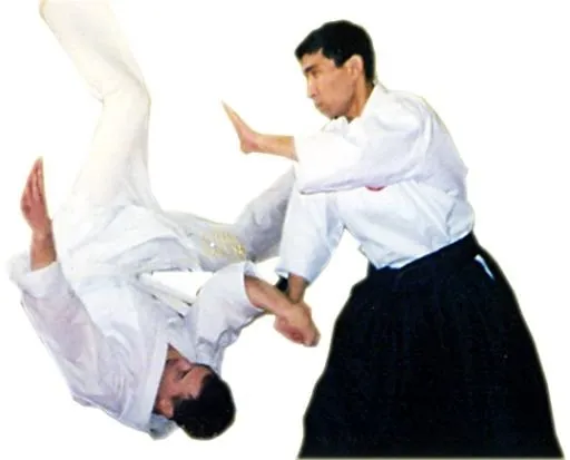 合气道 PNG免抠(538x434)