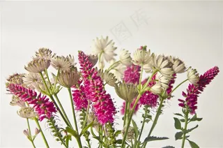 一大束漂亮花朵