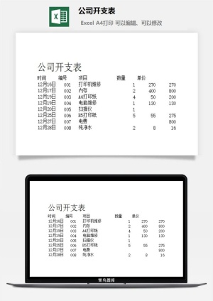 公司开支表excel模板预览图