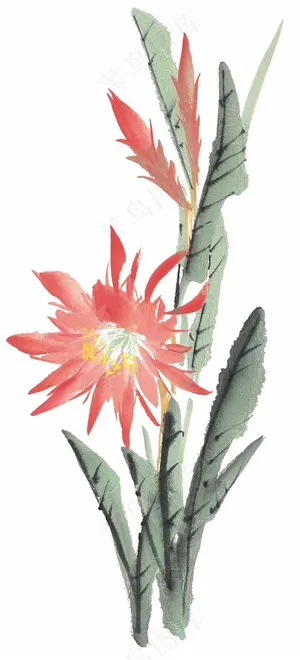 写意花卉国画欣赏图片素材 写意花卉国画欣赏图片素材