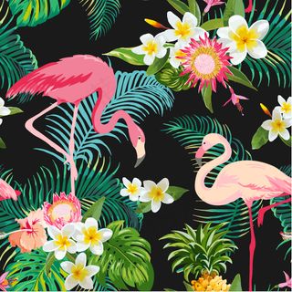 大嘴鸟 四方延续图案 面料图案