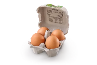 鸡蛋盒现代农业