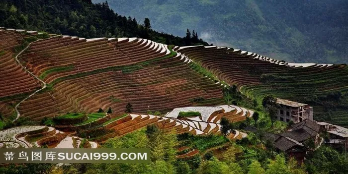 广西桂林平安寨梯田美景