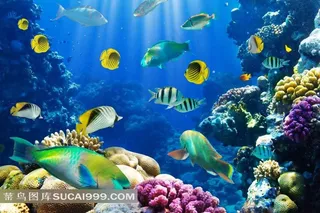 蓝色海底世界图片