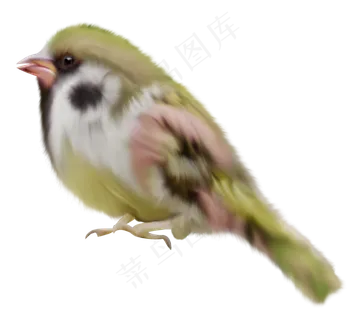 免抠小鸟之二 免抠小鸟之二