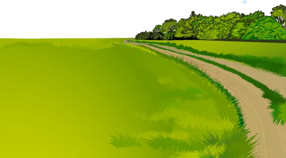 田间路现代农业