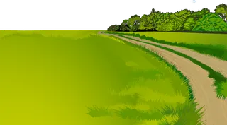 田间路现代农业