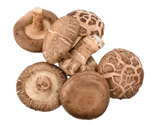 香菇 (21)超市商品白底图免抠实物摄影png格式图片透明底