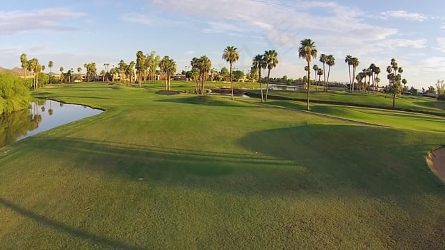 高尔夫球场, 打高尔夫球, 草, 棕榈树, 假期, 运动的