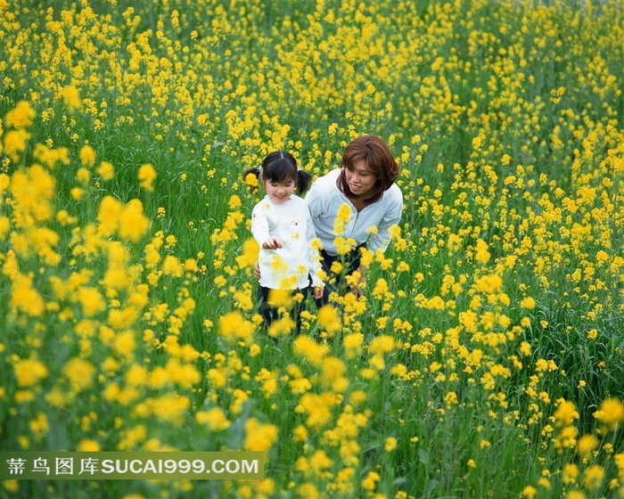 油菜花地里的母女摄影素材