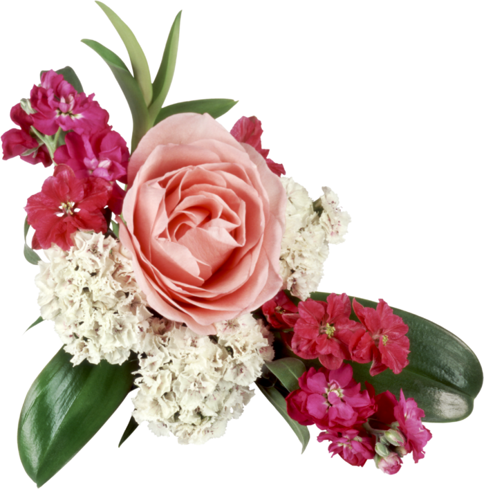 花饰和花束 免抠