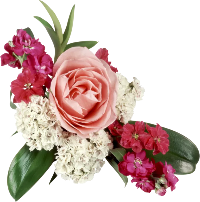 花饰和花束 免抠